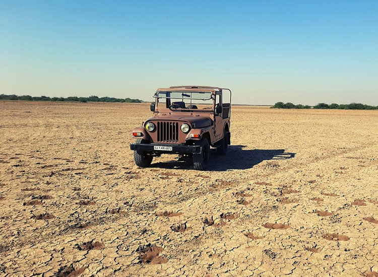 26 Best Adventure Places in India in 2026 for Adrenaline Junkies