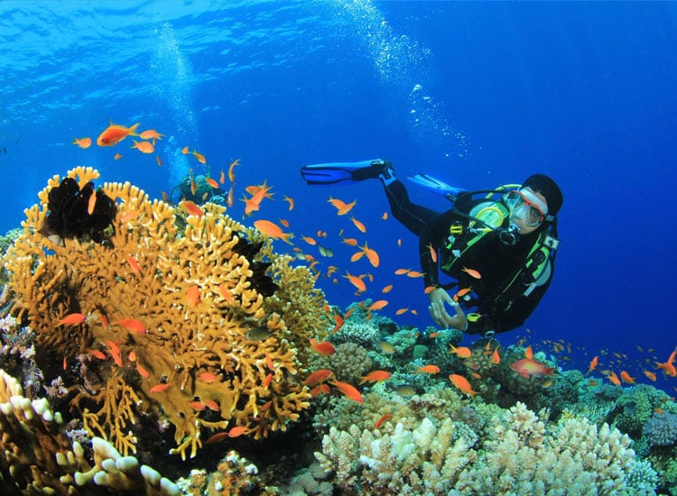 Scuba Diving in Andaman