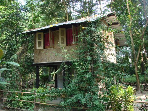 Eco Camp in Sonitpur, Assam