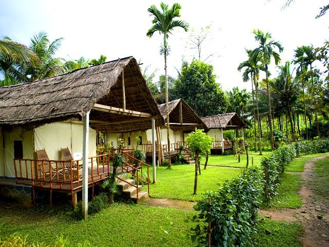 Hornbill Camp in Thattekkad , Kochi