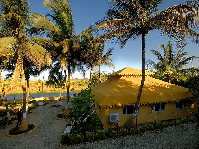 Lion Safari Camp - Gir National Park in Gujarat