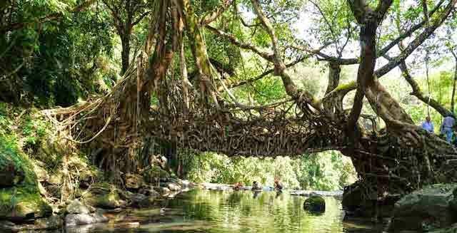 Mawlynnong, Meghalaya