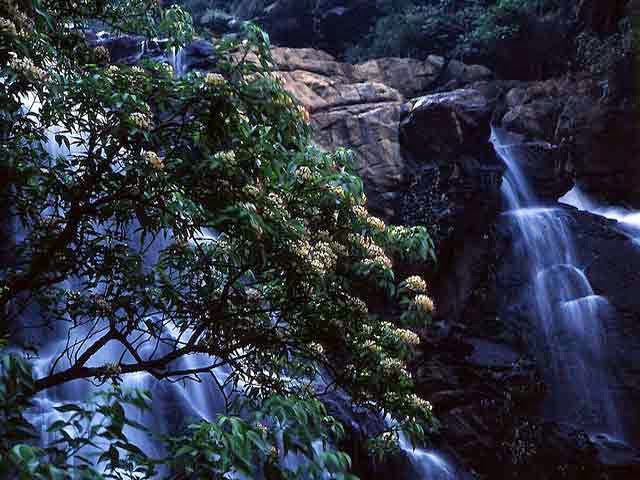 Meenmutty Falls in Wayanad, Kerala Meenmutty Falls, Kerala, India