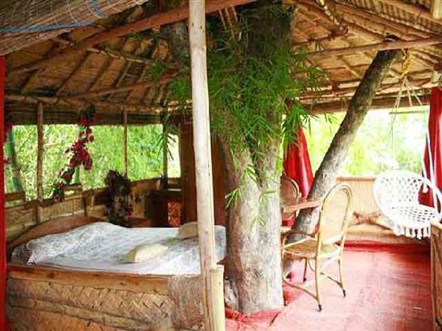 Safari Land Tree House, Masinagudi