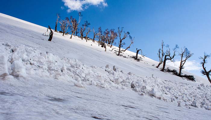 Sinthan Top Kokernag