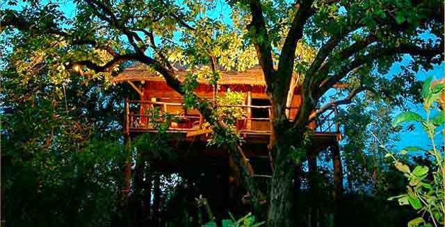 Tree House Hideaway, Bandhavgarh