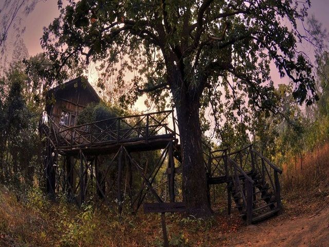 Tree House Hideaway Resort, Bandhavgarh