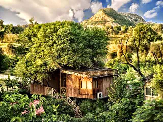 Tree House Resort in Jaipur