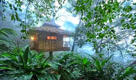 Vanya Tree House Resort
