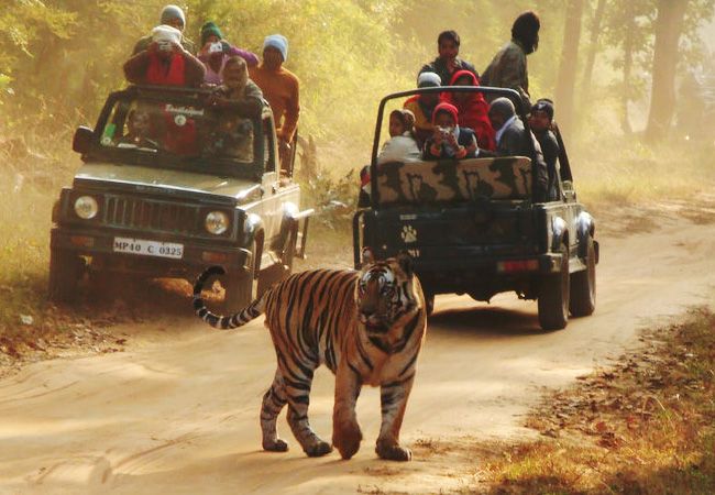 Bandhavgarh National Park
