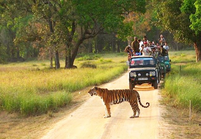 Kanha National Park