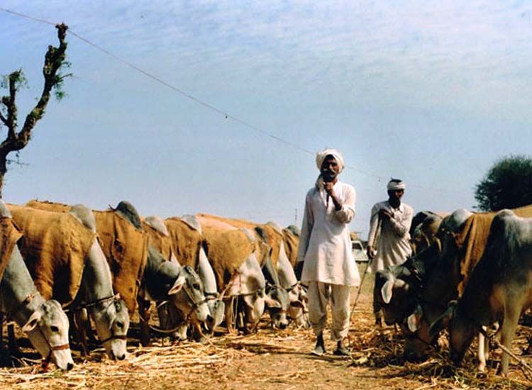 Celebrate these 25 Popular Festivals in India in Winter