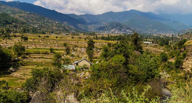 Chindi, Himachal Pradesh