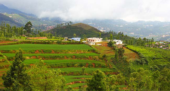 Ooty, Tamilnadu