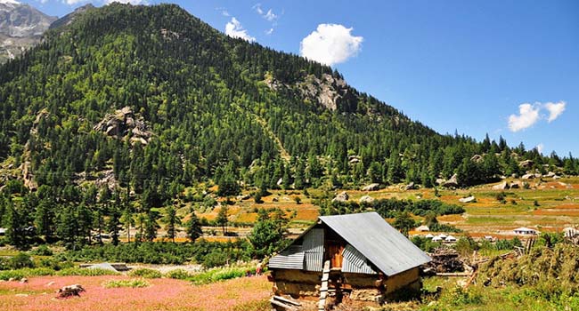 Sangla, Himachal Pradesh
