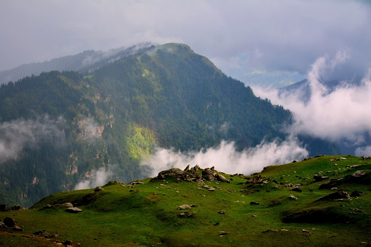 Chanshal