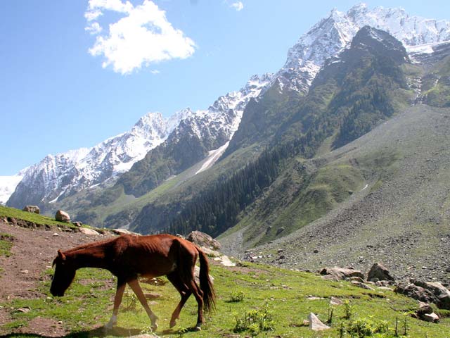 Thajiwas-glaciar-Sonamarg