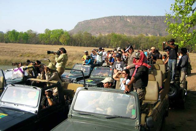 Bandhavgarh National Park