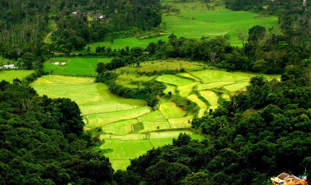 Coorg