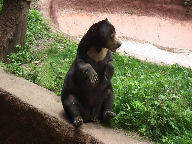 Nehru Zoological Park in Hyderabad