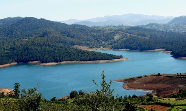 ooty lake