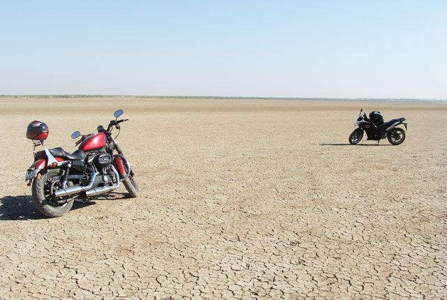 Runn of Kutch