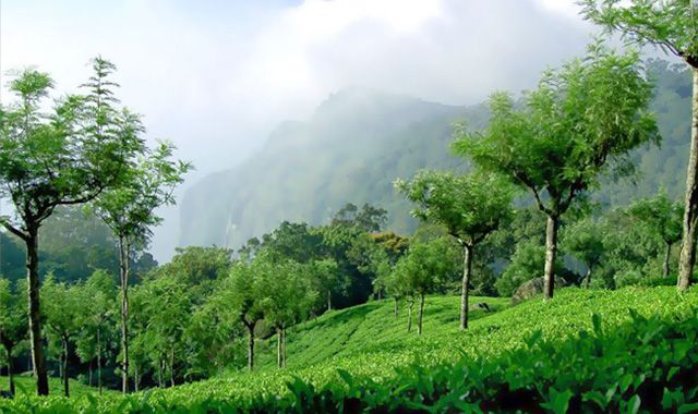 Coonoor Hill Station