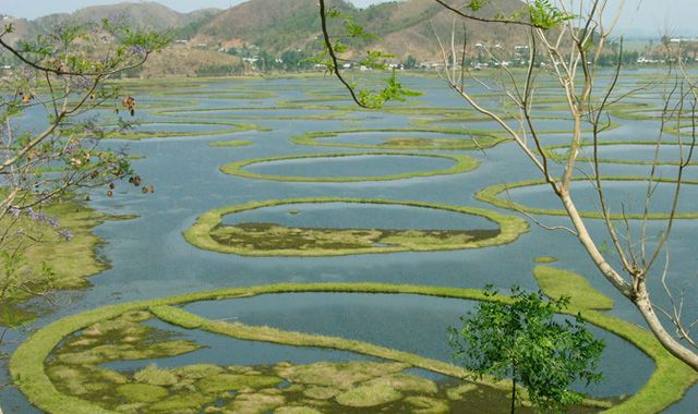 Lotka lake