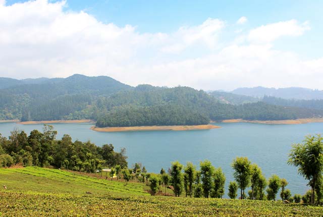 Emrald Lake, Ooty