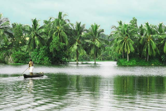 Kuttanad Lake, Kerala