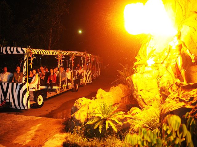 Nocturnal Zoo in Singapore