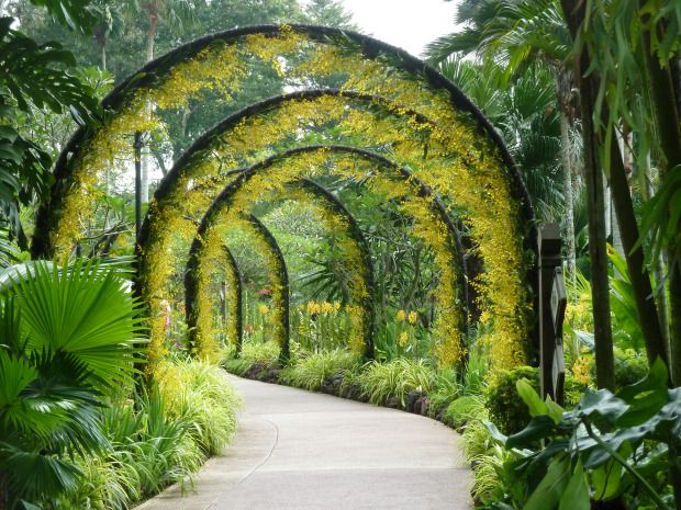 National Orchid Garden in Singapore
