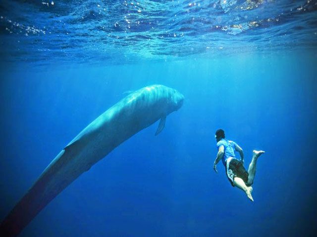 Swimming on the East Coast of Sri Lanka