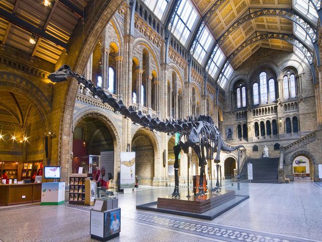 Natural History Museum in London