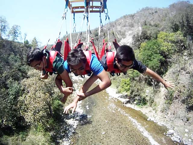 Flying fox
