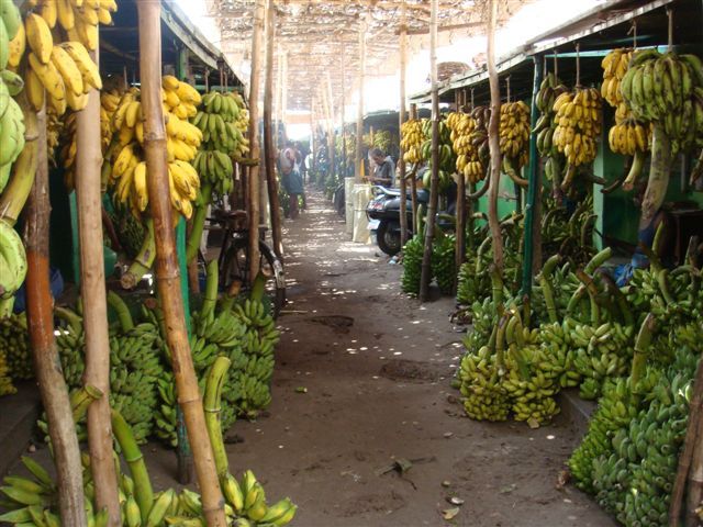 Banana market Madurai