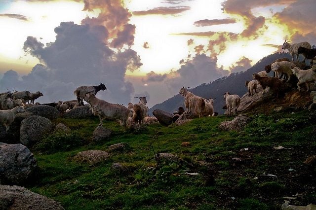 Gorgeous sunset View of Dharamsala
