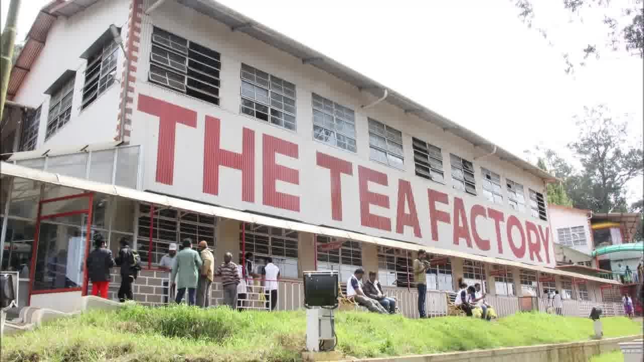 Doddabetta tea factory Ooty