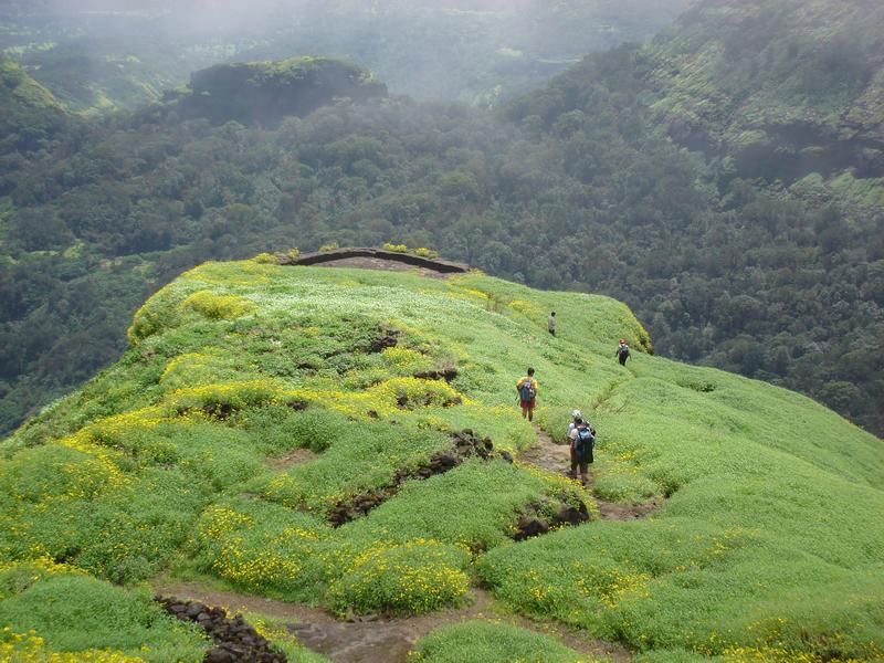 Trekking at Nilgiri Hills
