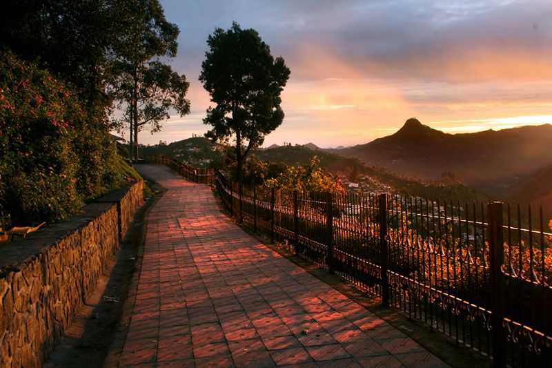 Coakers Walk Kodaikanal