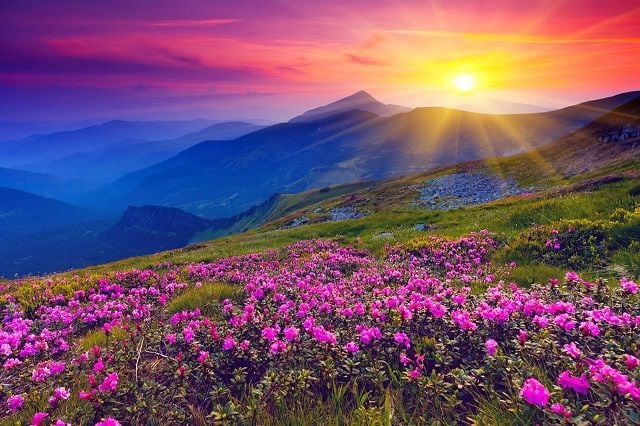 Valley of Flowers - A vibrant and splendid national park