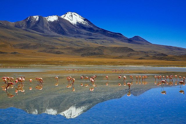 Bolivia: Country in South America