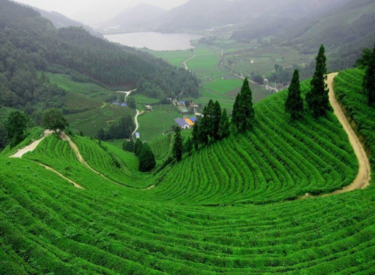 50 Best Places to Visit in India in Winter in 2025