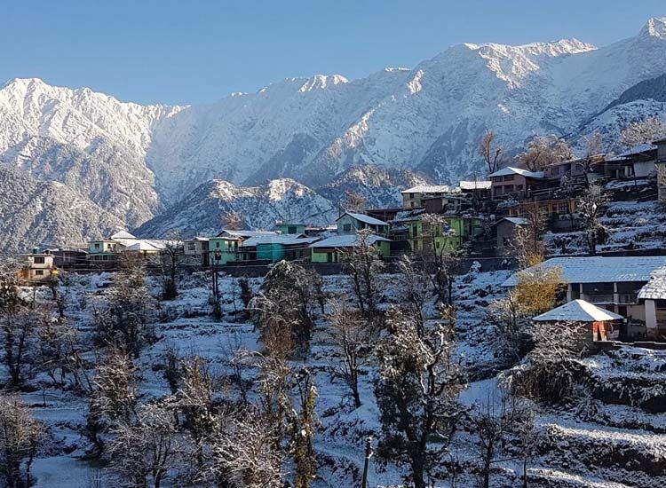 hills Dharamshala 