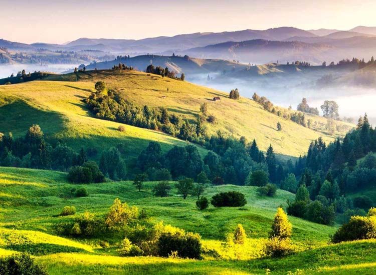 Ooty