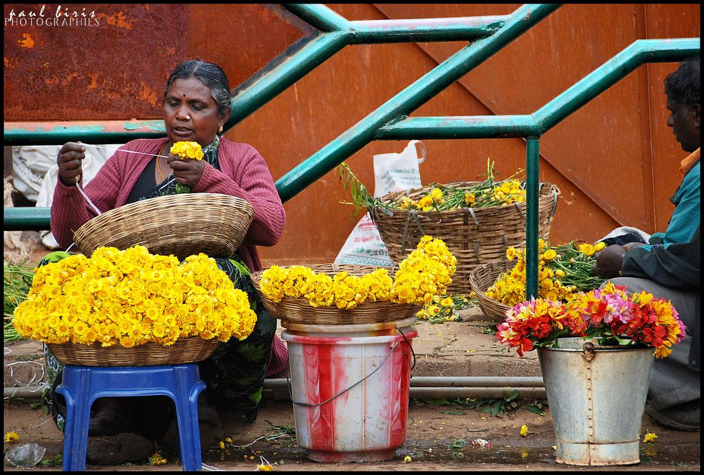 Ooty