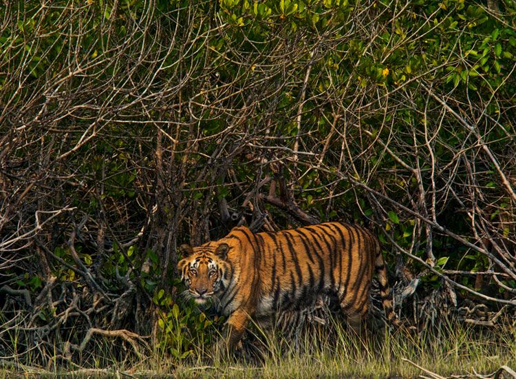 50 Best Places to Visit in India in Winter in 2025