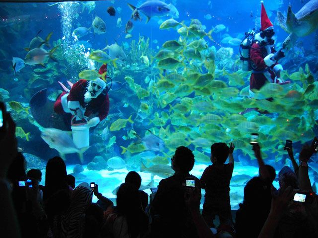 Aquaria KLCC in Malaysia