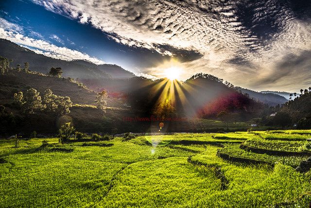 Kausani