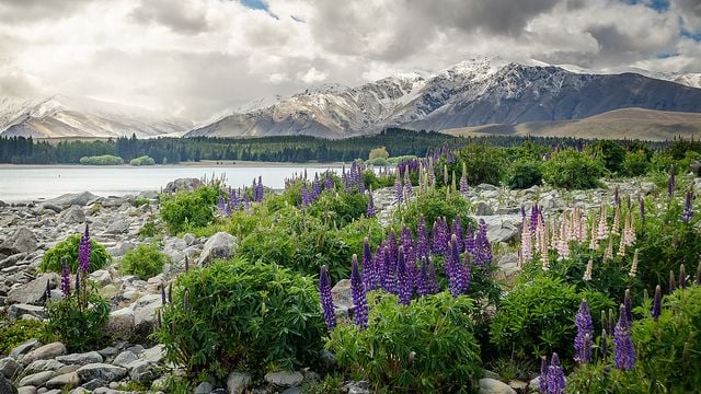 New Zealand